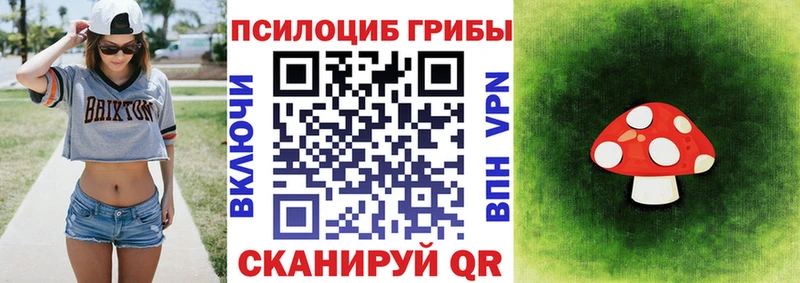 Галлюциногенные грибы Cubensis  дарнет шоп  Муравленко 